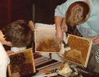 events-landmark-beeswax